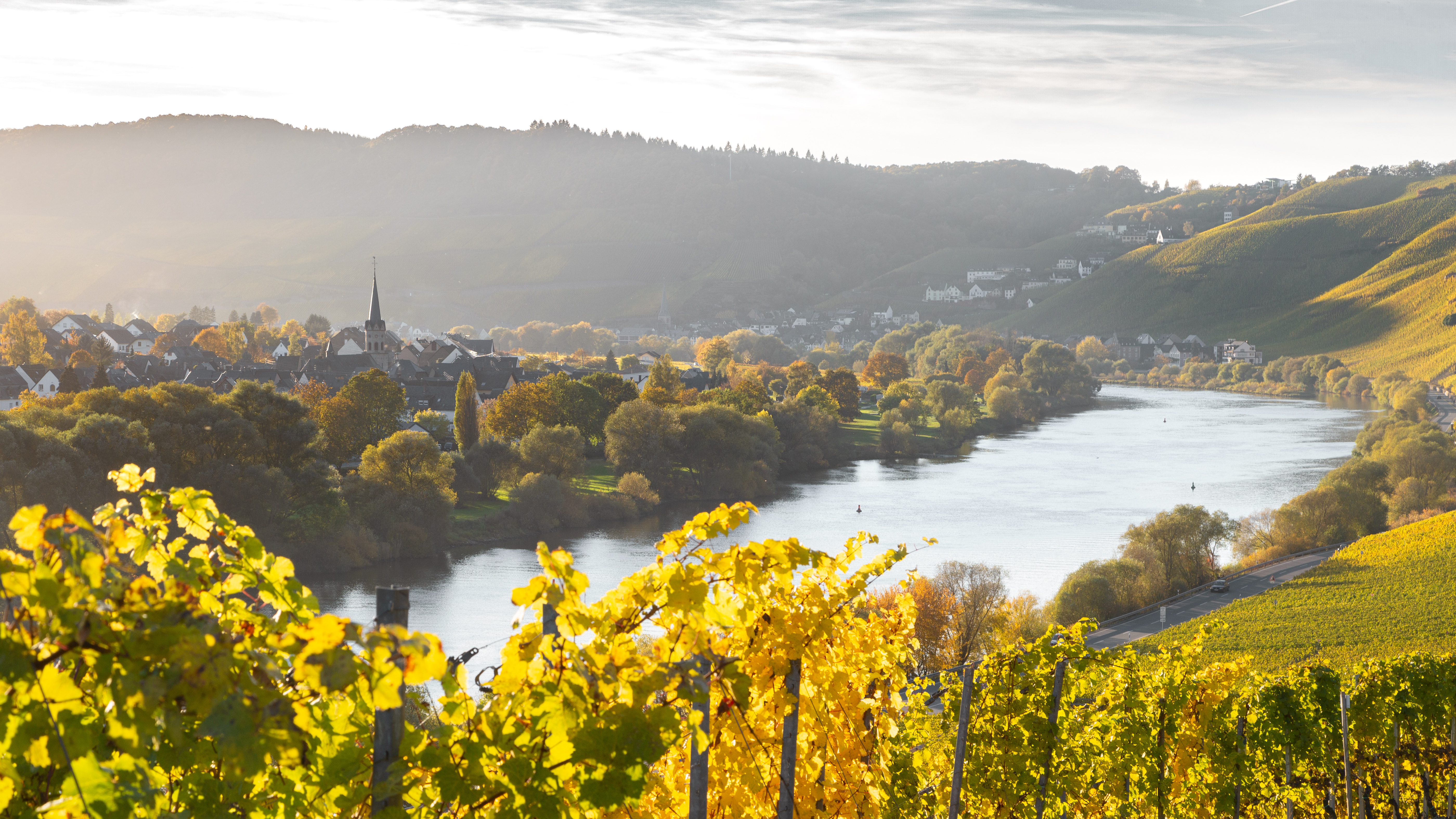 Vallée De La Moselle Allemande En Automne