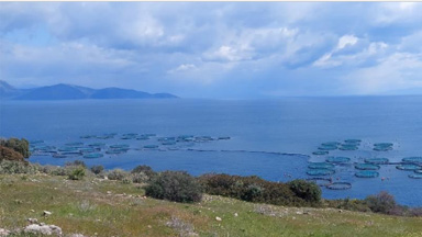 Crédit photo : Galaxidi marine Farm Andromachi unit Grèce