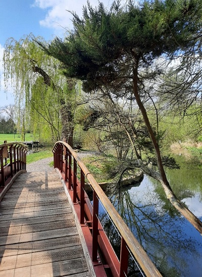 Photographie d'une partie du Parc Simon avec un pont en bois surplombant un étang entouré d'arbres.