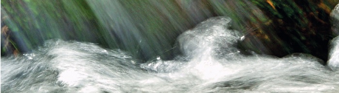 Webinaire : 30 ans après, quel bilan peut-t-on tirer de la loi sur l’eau de 1992 ?