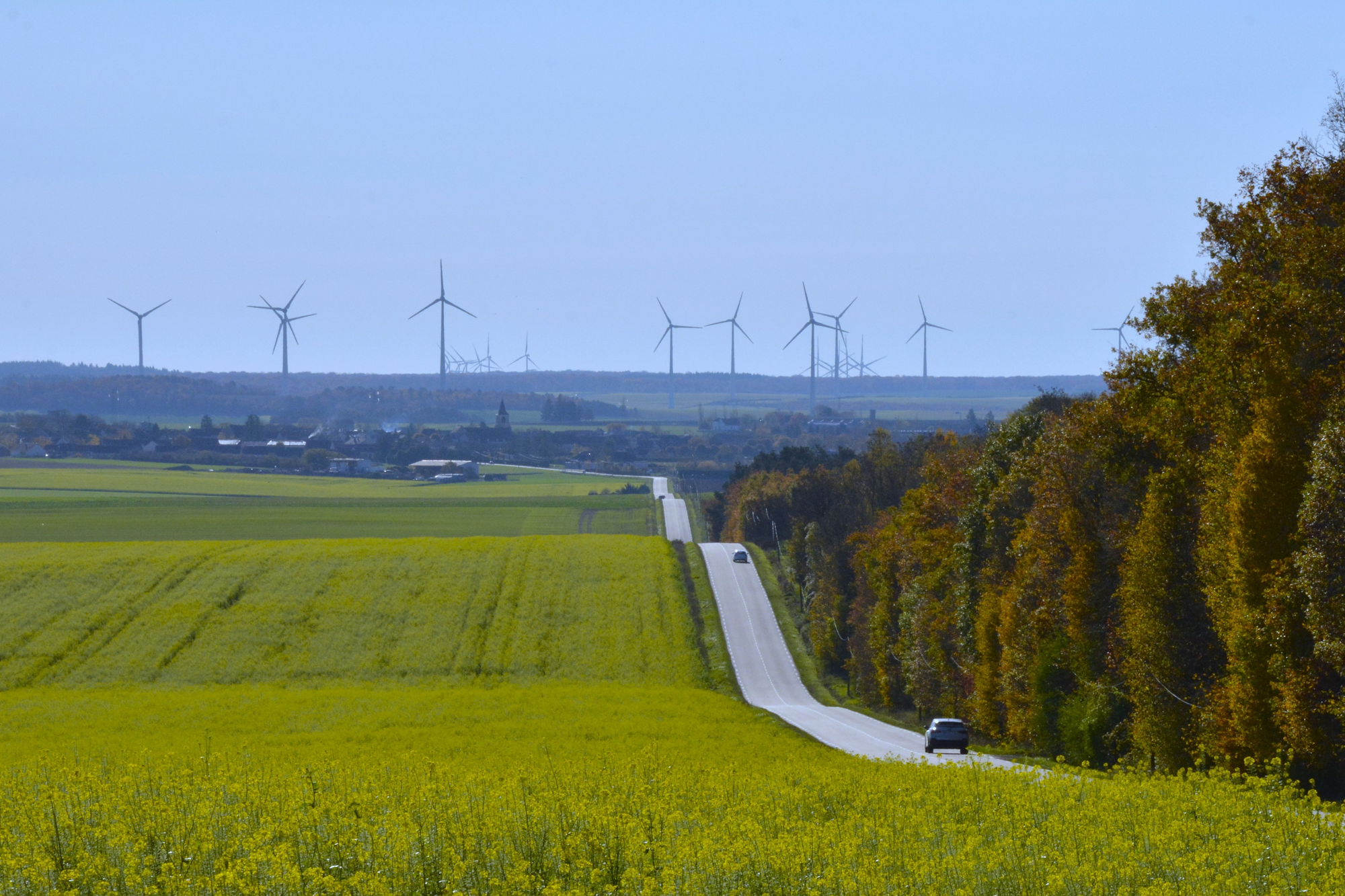 Paysage avec une route encadrée par des champs d'un côté et de l'autre la forêt. En arrière-plan, il y a plusieurs éoliennes.