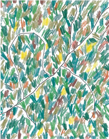 Représentation schématique d'une forêt vivante